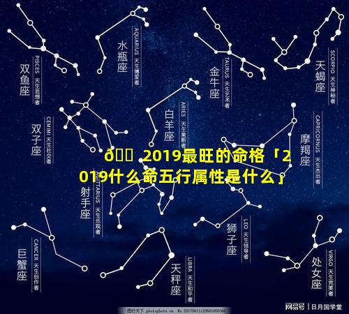 🐠 2019最旺的命格「2019什么命五行属性是什么」